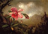 Martin Johnson Heade Orchid and Hummingbird near a Mountain Waterfall painting